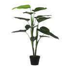 Plante en pot Philodendron H.100xD.70cm